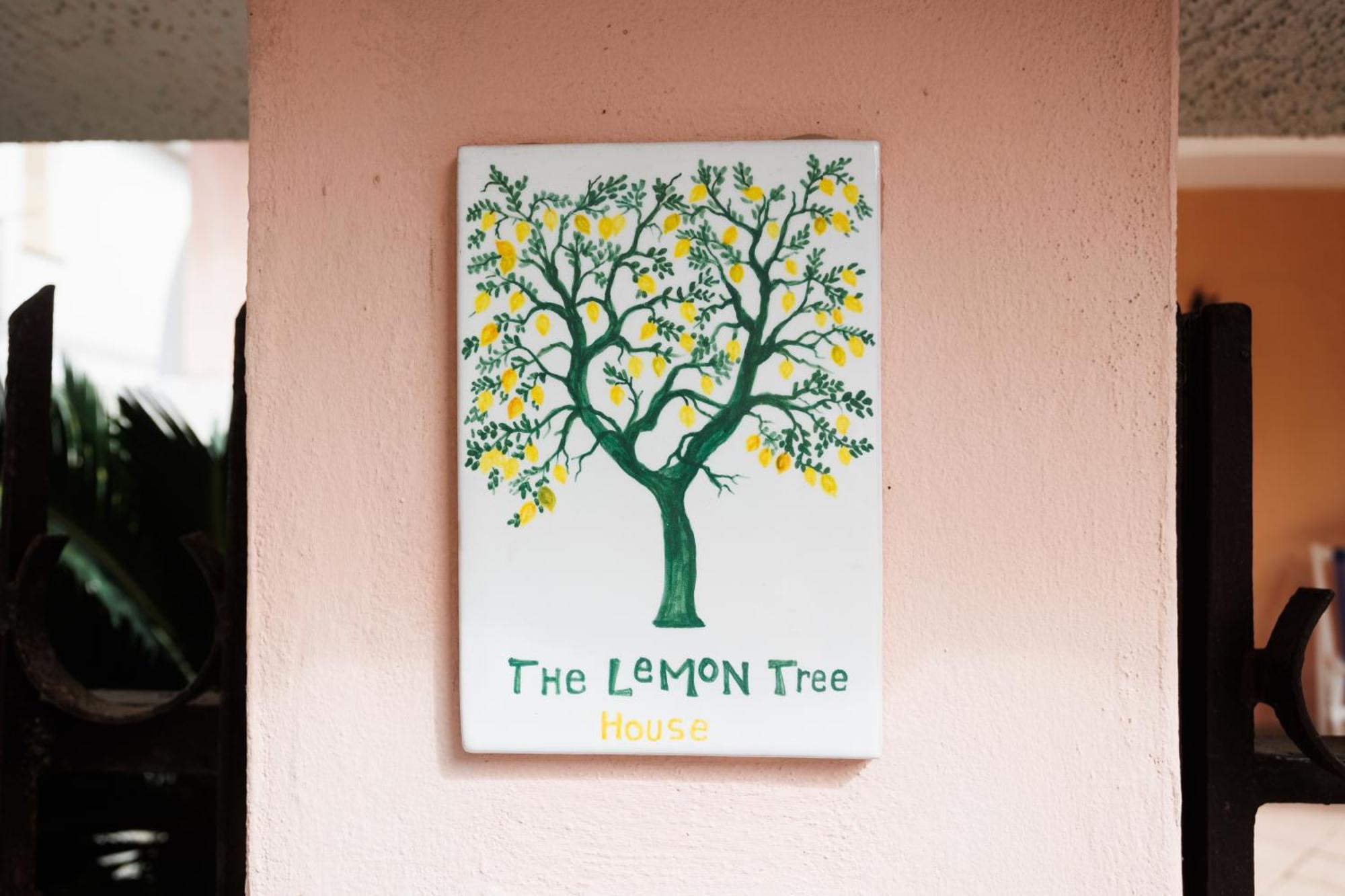 The Lemon Tree House Leilighet Scalea Eksteriør bilde